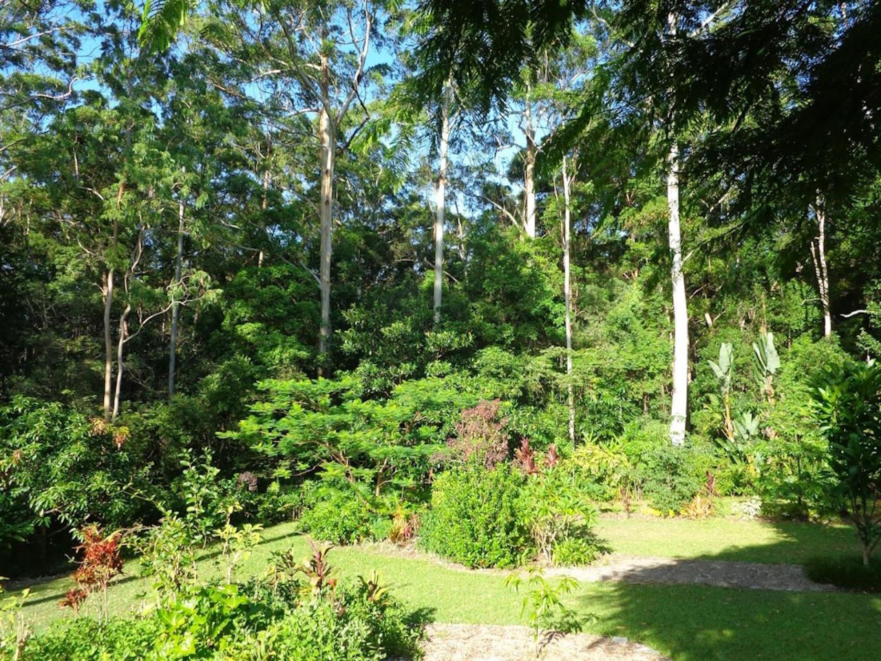 Noosa Buoys Hotel Tinbeerwah ภายนอก รูปภาพ